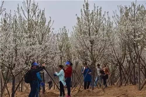 六十一号的恐怖