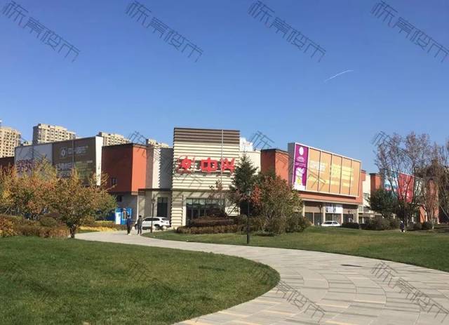 再见阿龙 普通话版