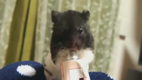 再见金钱，前往贫困村