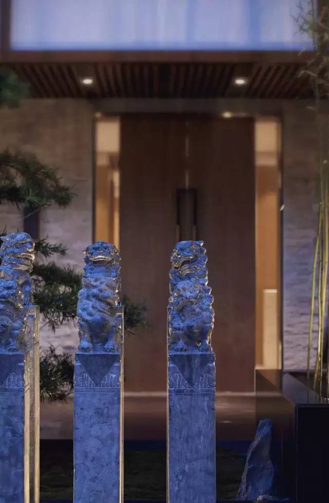 关于史蒂夫的一切