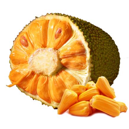 内衣少女(粤语版)