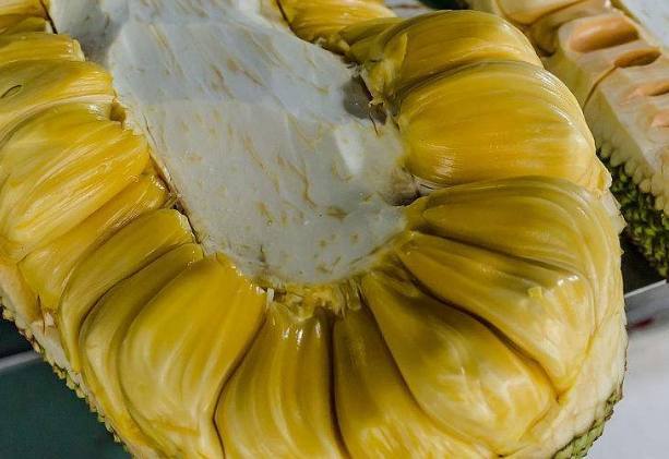 克鲁特：希姆帕汗勇士