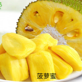 关于我和鬼变成家人的那件事