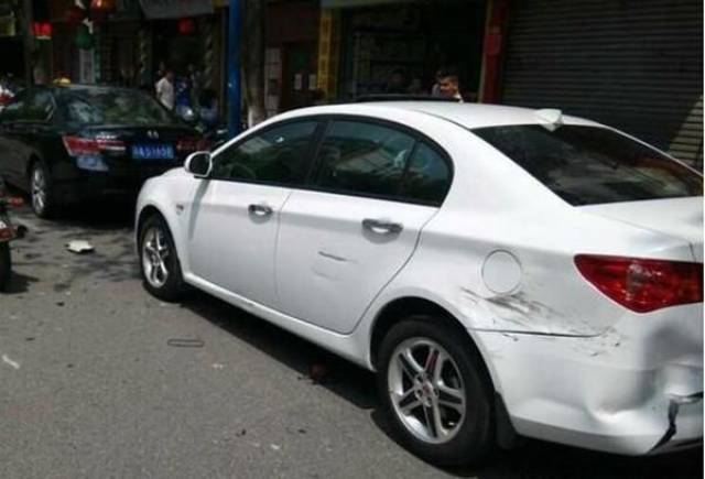 光荣之路上的狗